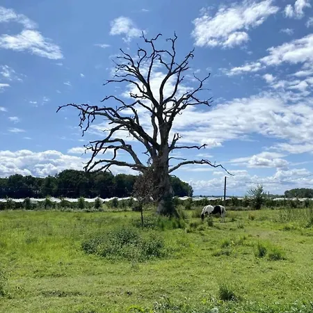 Romantic Loire Hideaway